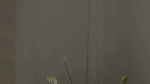 Help me with rate thanks  online show from 02/02/25, 07:52