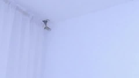 Help me with rate thanks  online show from 01/08/26, 02:58