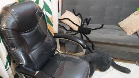 Snapshot of kathie_lozada chatting on 10/28/25, 06:17 kathie_lozada online show from 10/28/25, 06:17