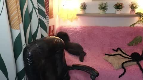 Snapshot of kathie_lozada chatting on 10/31/25, 06:03 kathie_lozada online show from 10/31/25, 06:03