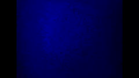 Snapshot of kathyfantasylover chatting on 03/05/25, 10:21 kathy online show from 03/05/25, 10:21