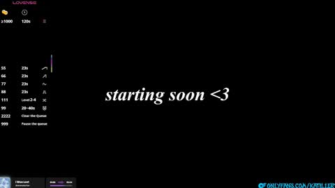 Katie online show from 01/16/26, 05:39