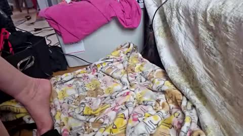 Snapshot of katladyzsafespace chatting on 12/04/25, 05:54 katladyzsafespace online show from 12/04/25, 05:54