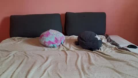 katusha008 online show from 03/31/26, 02:17