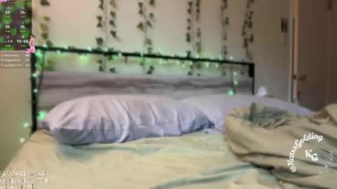 Snapshot of katxxgolding chatting on 11/14/25, 11:24 Princesse Kat online show from 11/14/25, 11:24