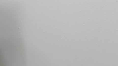 katy blonde girl and paola big boobs online show from 10/28/25, 07:49