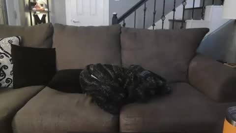 katycouple2003 online show from 10/05/25, 05:17