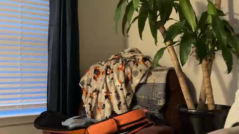 Snapshot of keaton2487 chatting on 10/17/25, 10:56 Keaton Keller online show from 10/17/25, 10:56