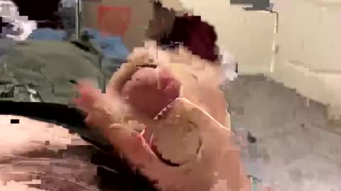 keegandaddy4200 online show from 01/11/26, 06:07