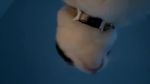 Snapshot of keepquietj chatting on 01/20/25, 12:25 keepquietj online show from 01/20/25, 12:25