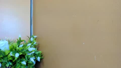 keisy_sanchez online show from 01/06/26, 11:14