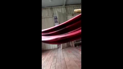 kelpejonh online show from 03/17/26, 05:05