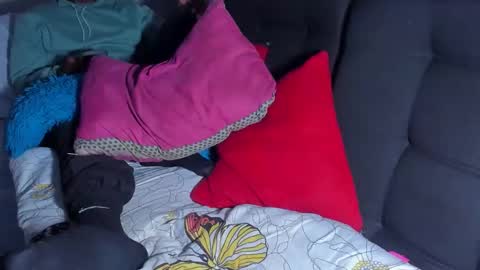 Kerlysmith24 online show from 02/24/26, 08:34