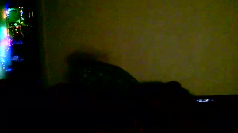 kev online show from 02/18/26, 01:45