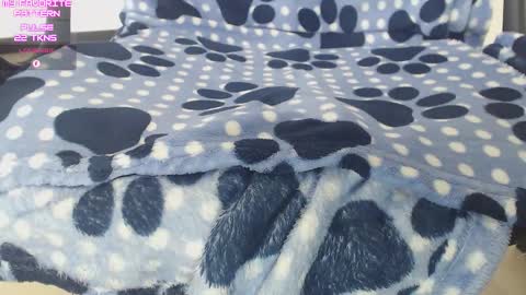 Kevin online show from 12/16/25, 05:18