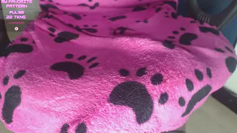 Kevin online show from 02/25/26, 03:05