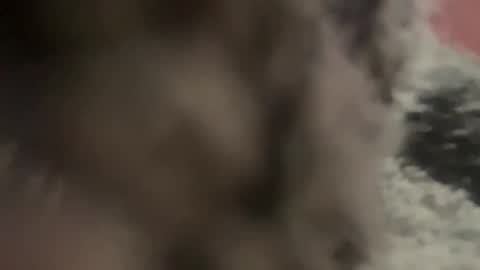 Snapshot of kg1726860 chatting on 10/11/25, 06:50 kg1726860 online show from 10/11/25, 06:50