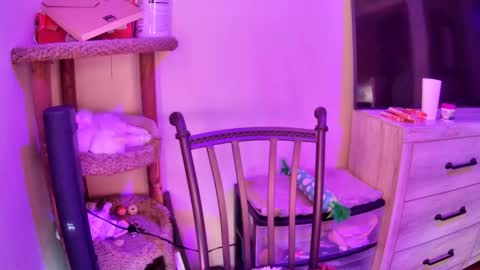 KevKev online show from 04/13/26, 11:16