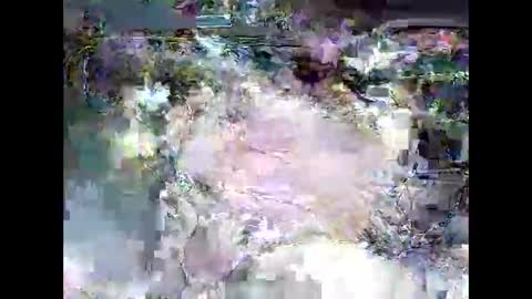 ki389253 online show from 03/04/26, 02:17