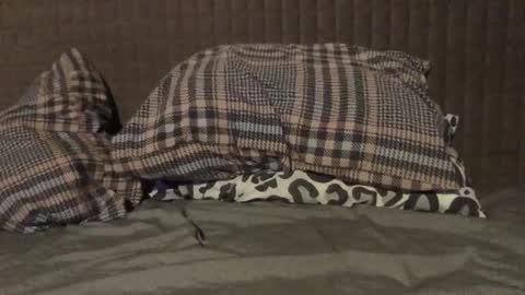 kiki3526 online show from 11/23/25, 07:35