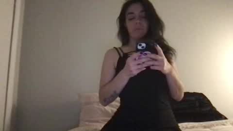 Snapshot of kikimoonlight chatting on 12/20/24, 12:52 kiki z moonlight attorney at law online show from 12/20/24, 12:52