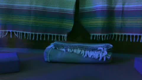 Snapshot of kim_kim69 chatting on 10/13/25, 12:49 Kim online show from 10/13/25, 12:49