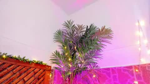 Snapshot of kimberly_gonzalez1 chatting on 01/11/25, 06:45 kimberly gonzalez online show from 01/11/25, 06:45