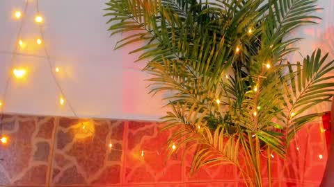 Snapshot of kimberly_gonzalez1 chatting on 01/17/25, 03:45 kimberly gonzalez online show from 01/17/25, 03:45