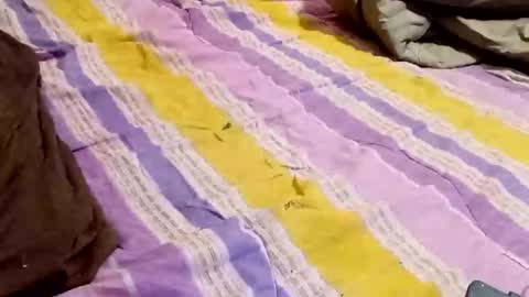 Snapshot of kingbat30 chatting on 03/02/25, 12:42 kingbat30 online show from 03/02/25, 12:42