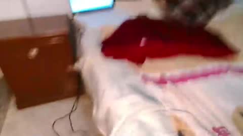 Conejo online show from 03/10/25, 12:18