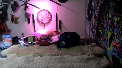 Jerry online show from 03/07/26, 01:24