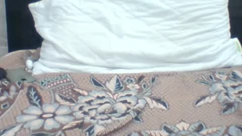 Snapshot of kingjordan122 chatting on 01/04/25, 06:09 kingjordan122 online show from 01/04/25, 06:09