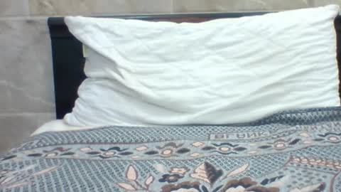 Snapshot of kingjordan122 chatting on 01/30/25, 07:15 kingjordan122 online show from 01/30/25, 07:15