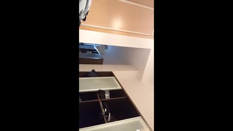 Snapshot of kingnavo chatting on 11/07/25, 05:35 kingnavo online show from 11/07/25, 05:35