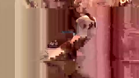 kingslimfresh online show from 03/24/26, 01:10