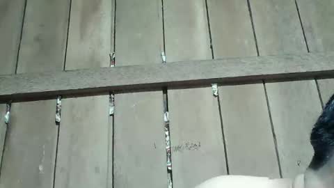 Ruru online show from 01/16/26, 04:00