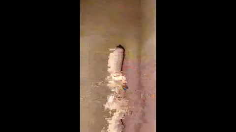 kini8278 online show from 02/21/26, 01:56