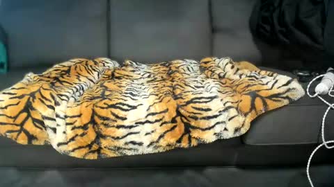 Kinky online show from 01/16/25, 06:37