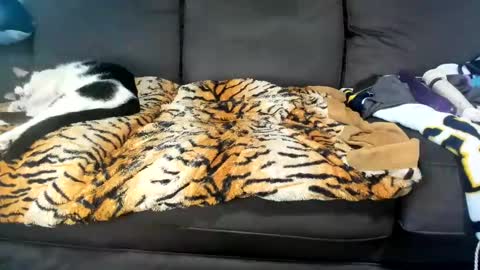 Kinky online show from 02/04/25, 06:17