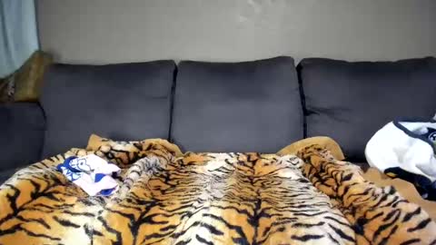 Kinky online show from 02/11/25, 12:16