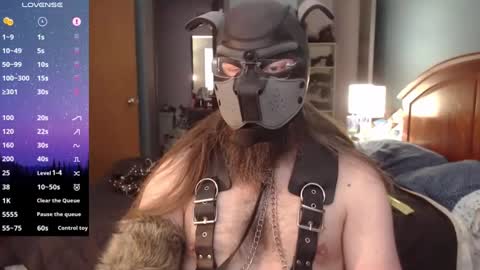 Snapshot of kinkywolf87 chatting on 12/21/24, 06:23 kinkywolf87 online show from 12/21/24, 06:23