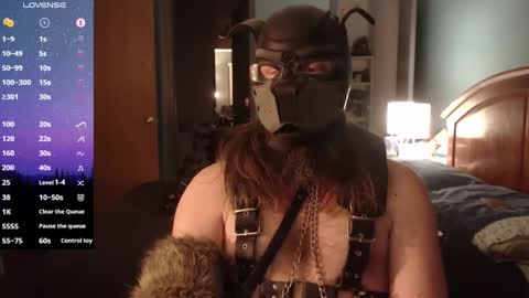 Snapshot of kinkywolf87 chatting on 02/01/25, 01:44 kinkywolf87 online show from 02/01/25, 01:44