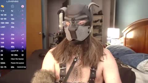 Snapshot of kinkywolf87 chatting on 02/23/25, 07:38 kinkywolf87 online show from 02/23/25, 07:38