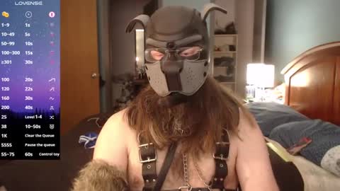 Snapshot of kinkywolf87 chatting on 03/07/25, 06:43 kinkywolf87 online show from 03/07/25, 06:43