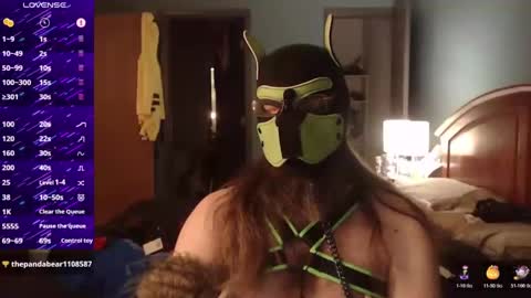 Snapshot of kinkywolf87 chatting on 10/19/25, 05:30 kinkywolf87 online show from 10/19/25, 05:30