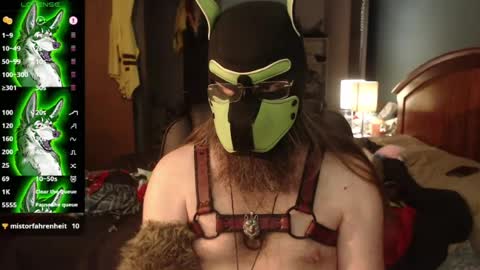 kinkywolf87 online show from 07/20/26, 03:47