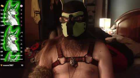 kinkywolf87 online show from 07/24/26, 04:43