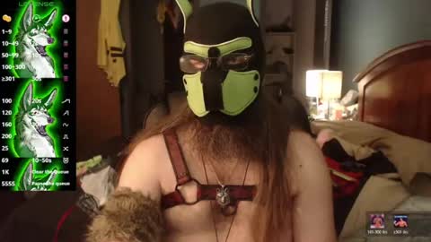 kinkywolf87 online show from 07/27/26, 05:09