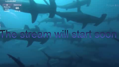 Kira online show from 01/17/26, 05:49