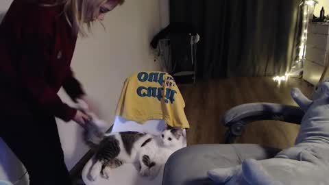 Snapshot of kisi_missi chatting on 01/30/25, 06:43 Kisi online show from 01/30/25, 06:43